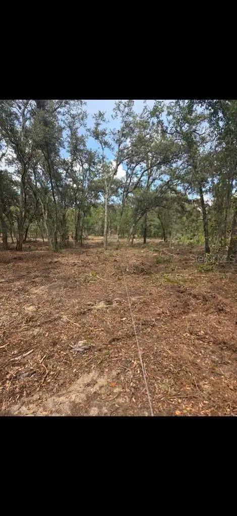 SE 112 Place Ocklawaha FL 32179