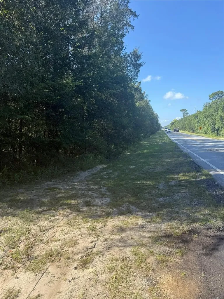 SE 112 Place Ocklawaha FL 32179
