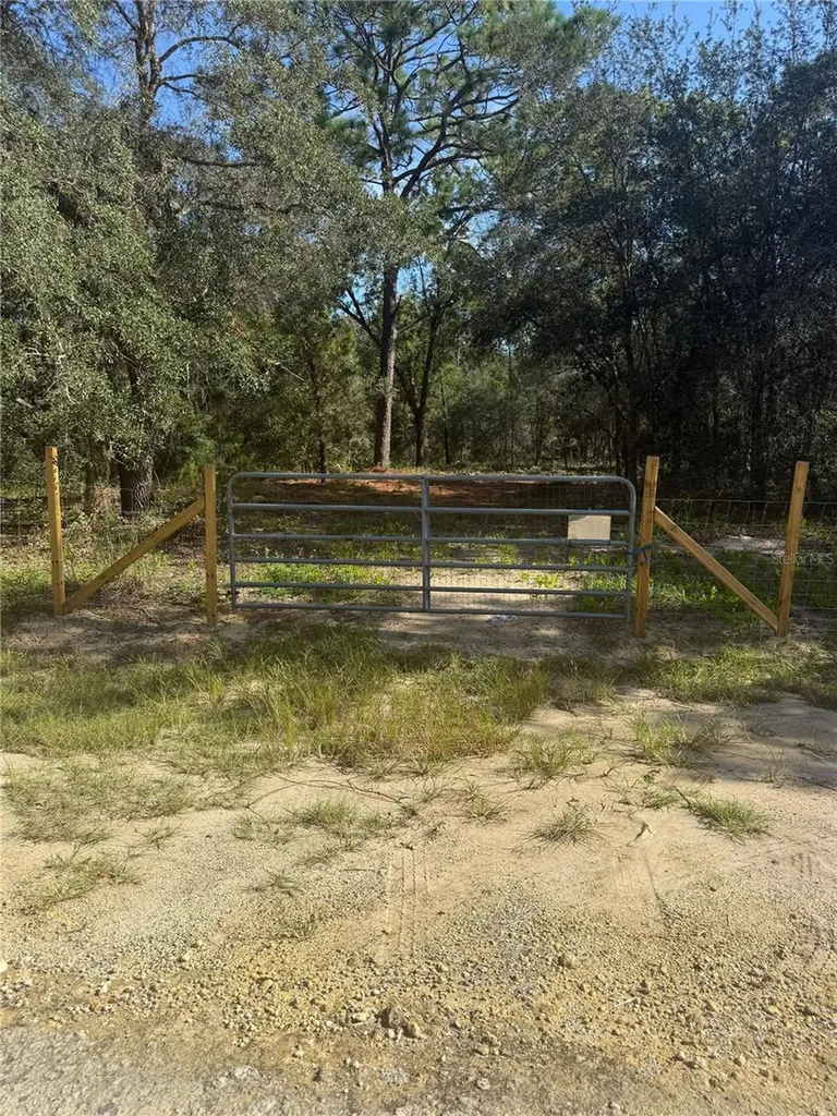SE 112 Place Ocklawaha FL 32179