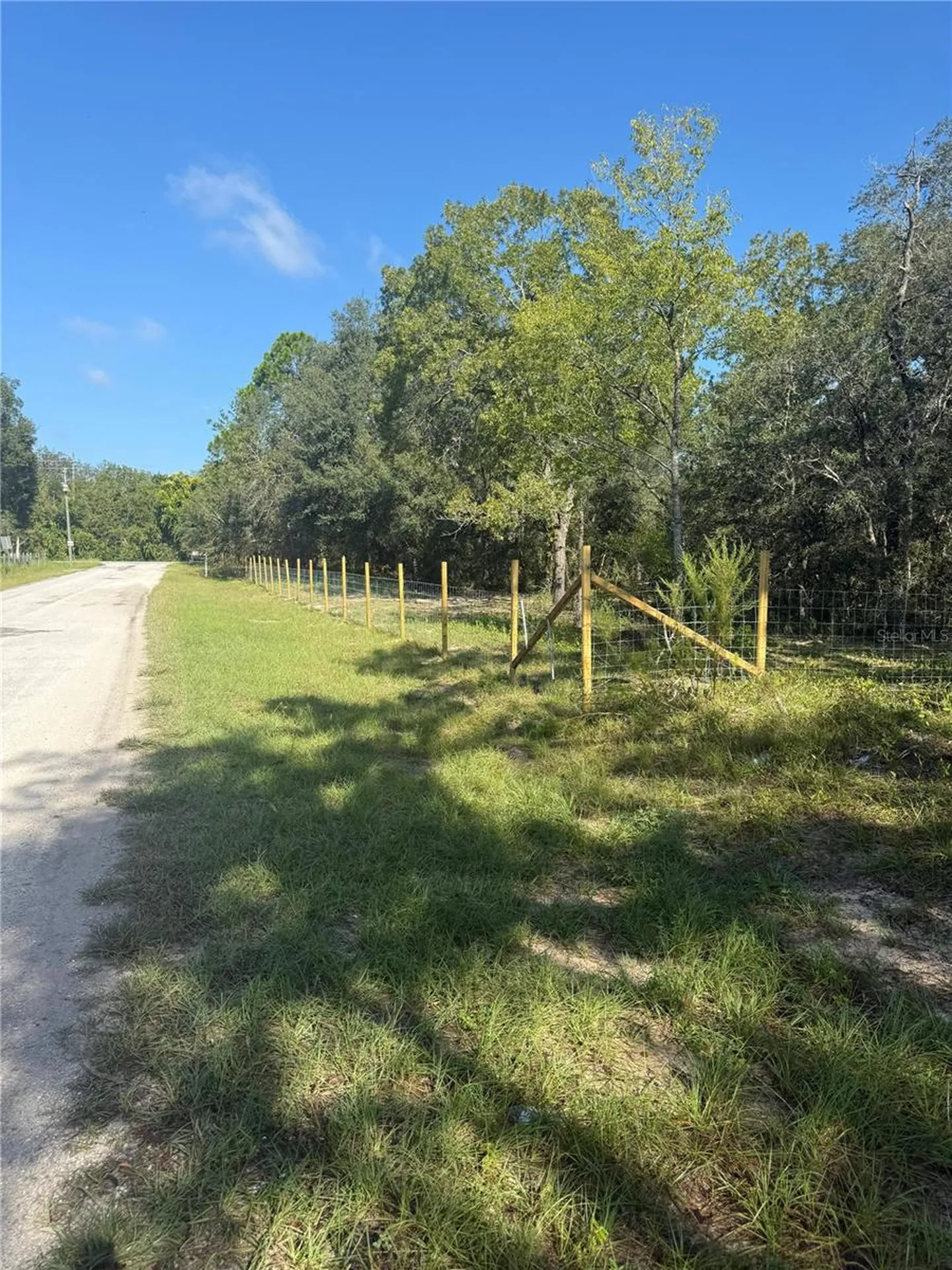 SE 112 Place Ocklawaha FL 32179