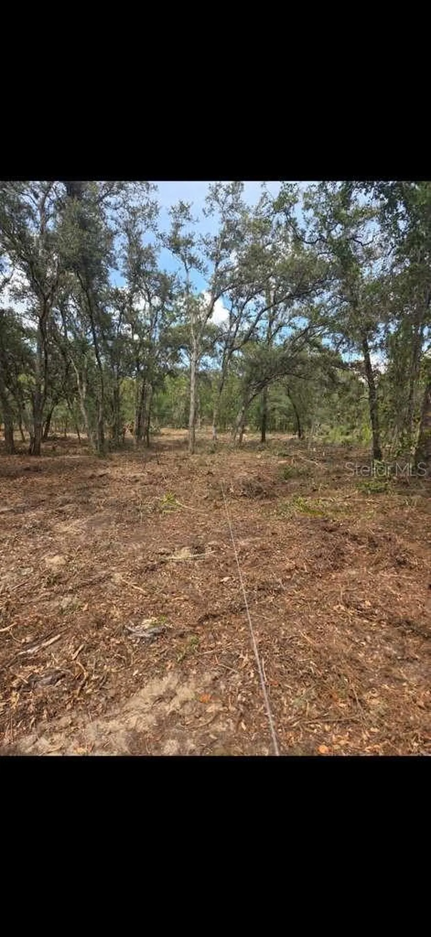 SE 112 Place Ocklawaha FL 32179