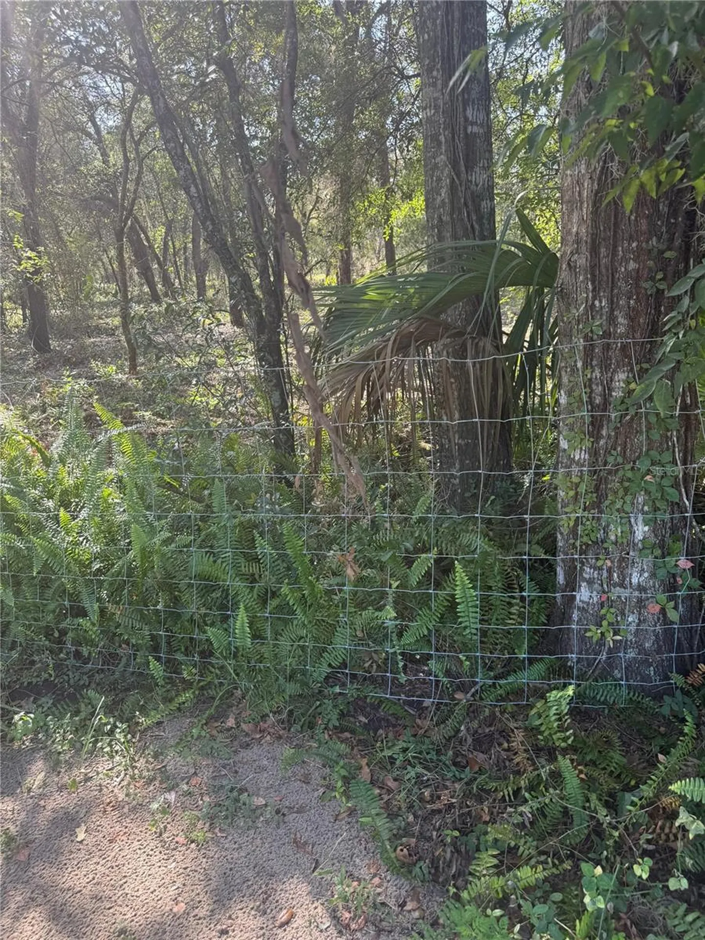 SE 112 Place Ocklawaha FL 32179