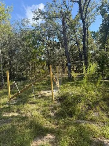 SE 112 Place Ocklawaha FL 32179