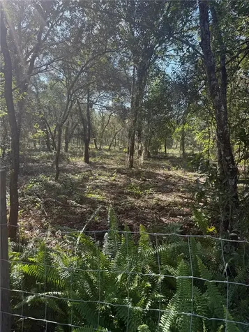 SE 112 Place Ocklawaha FL 32179