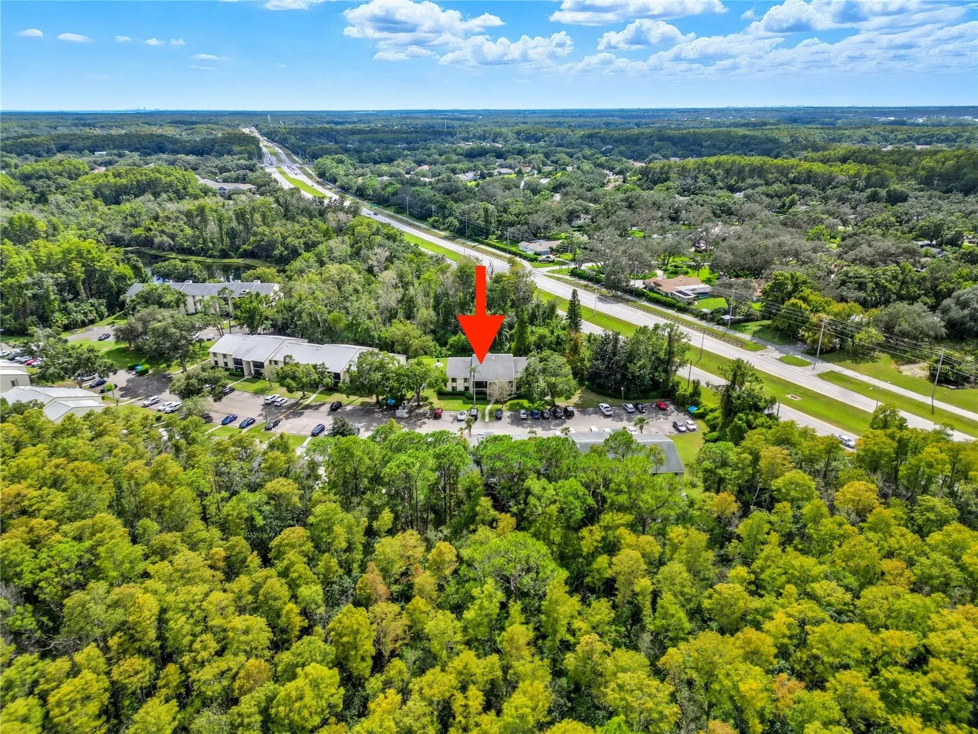3100 Lake Pine Way Tarpon Springs FL 34688