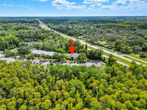 3100 Lake Pine Way Tarpon Springs FL 34688