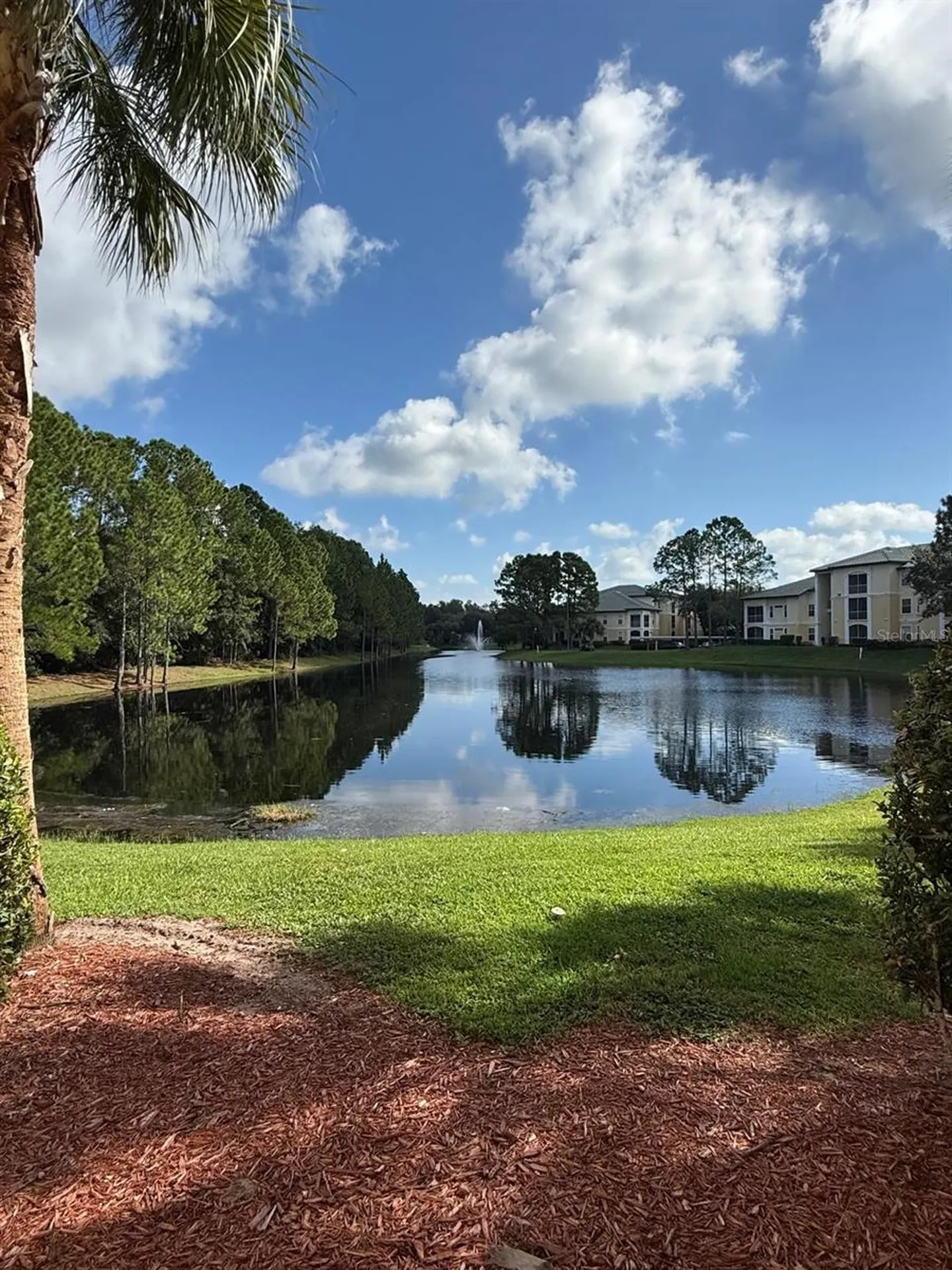 8917 Legacy Court Kissimmee FL 34747