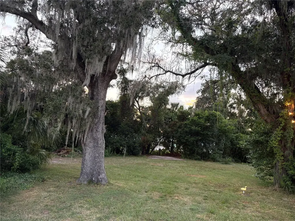 839 3rd Street N Safety Harbor FL 34695