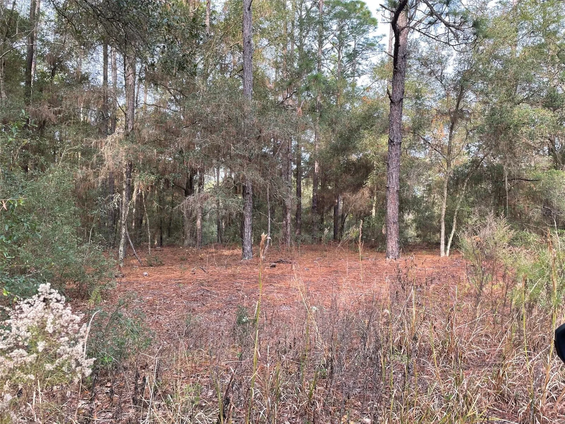 Lot 9 SW 152nd Avenue Ocala FL 34481