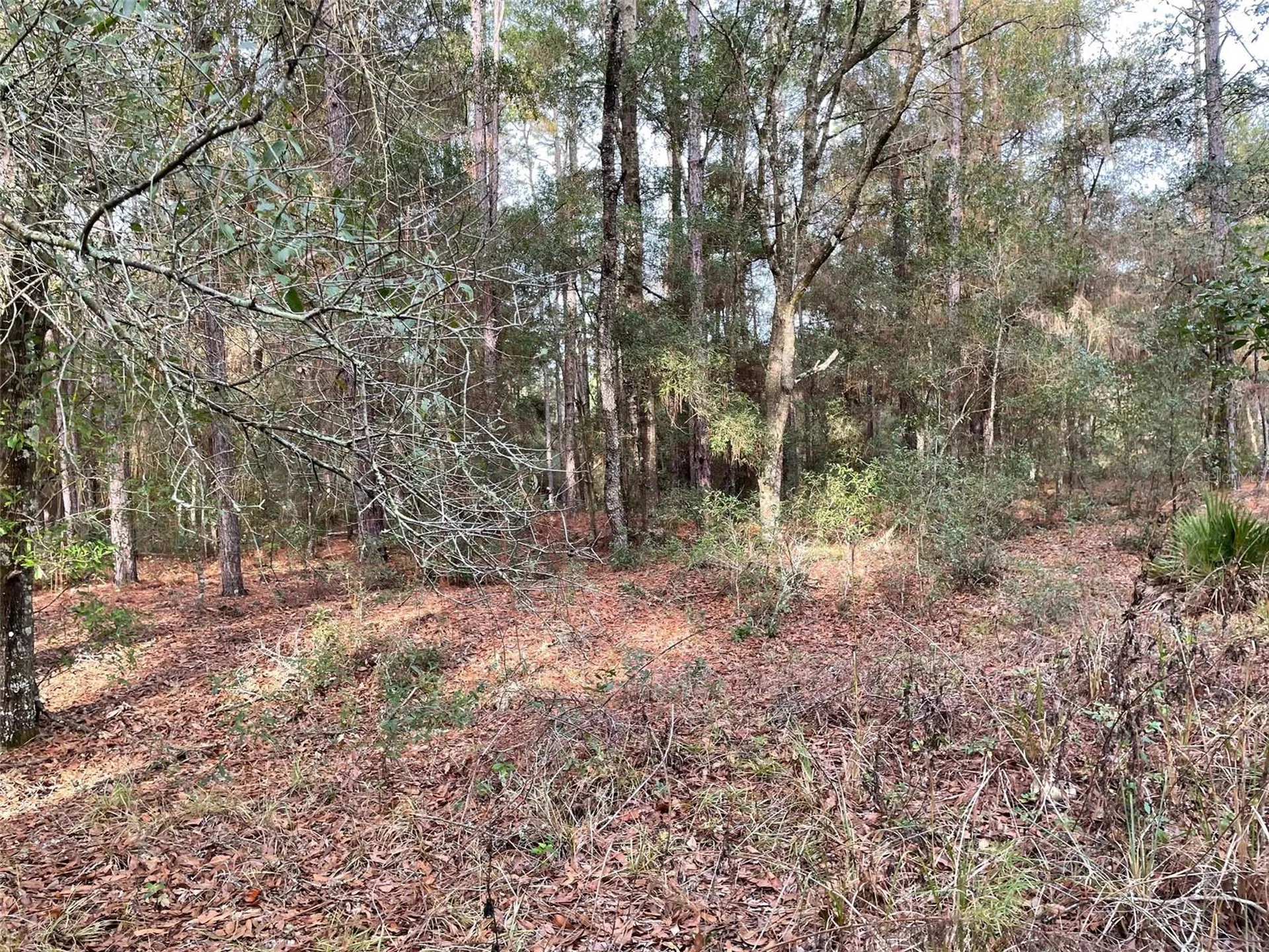 Lot 9 SW 152nd Avenue Ocala FL 34481