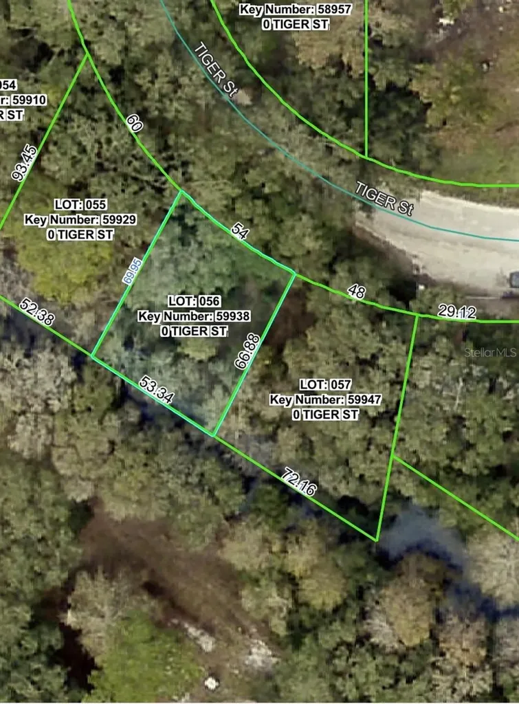 3217 Tiger Street Dade City FL 33523