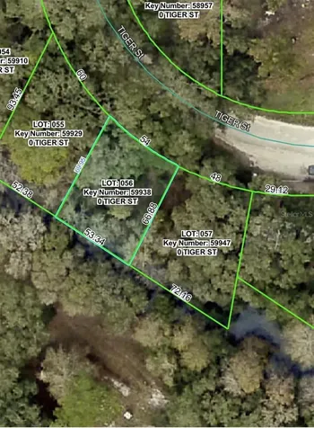 3217 Tiger Street Dade City FL 33523