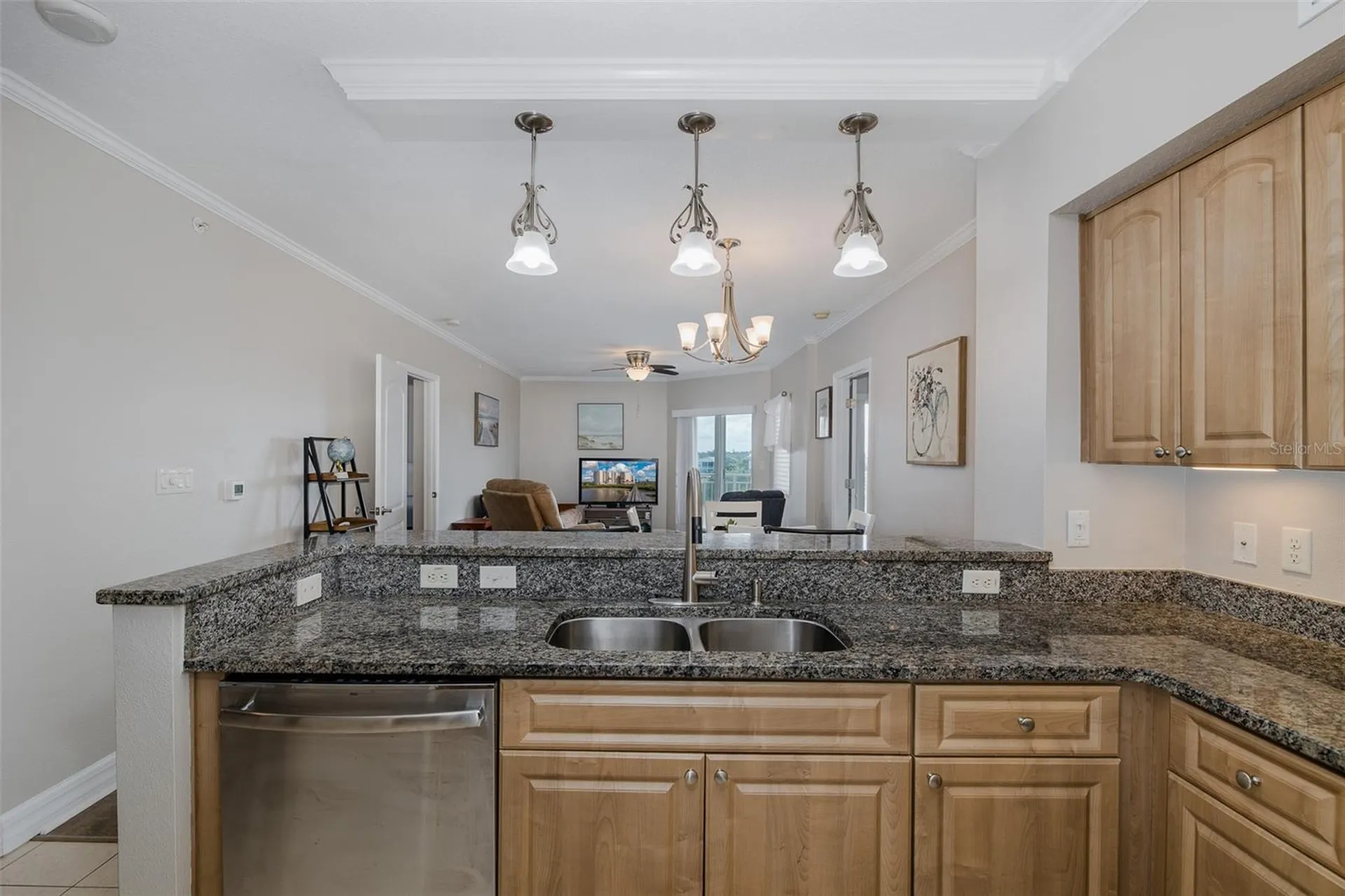 4516 Seagull Drive New Port Richey FL 34652