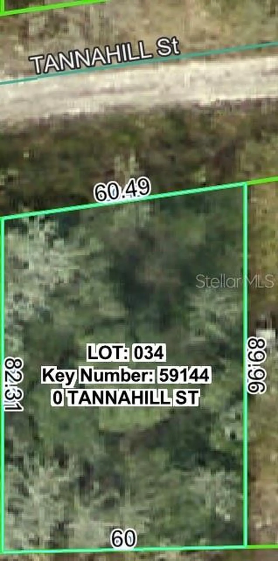 Tannahill Street Dade City FL 33523