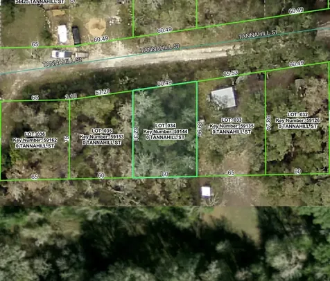 Tannahill Street Dade City FL 33523