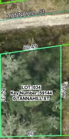 Tannahill Street Dade City FL 33523
