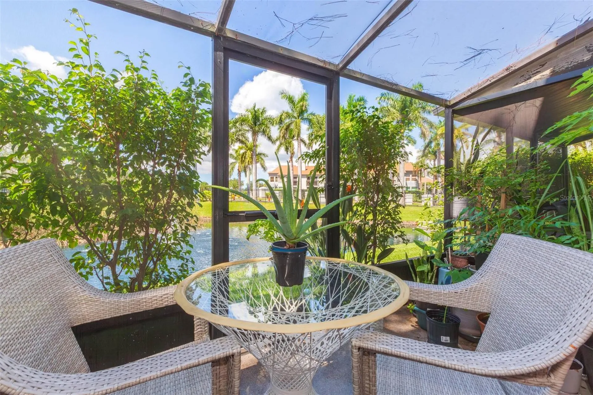 2024 Blue Hawk Court Clearwater FL 33762