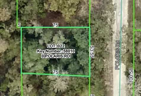 Polaris Road Dade City FL 33523