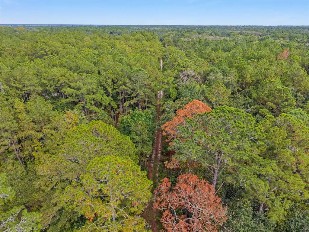 11427 SW 10th Terrace Micanopy FL 32667