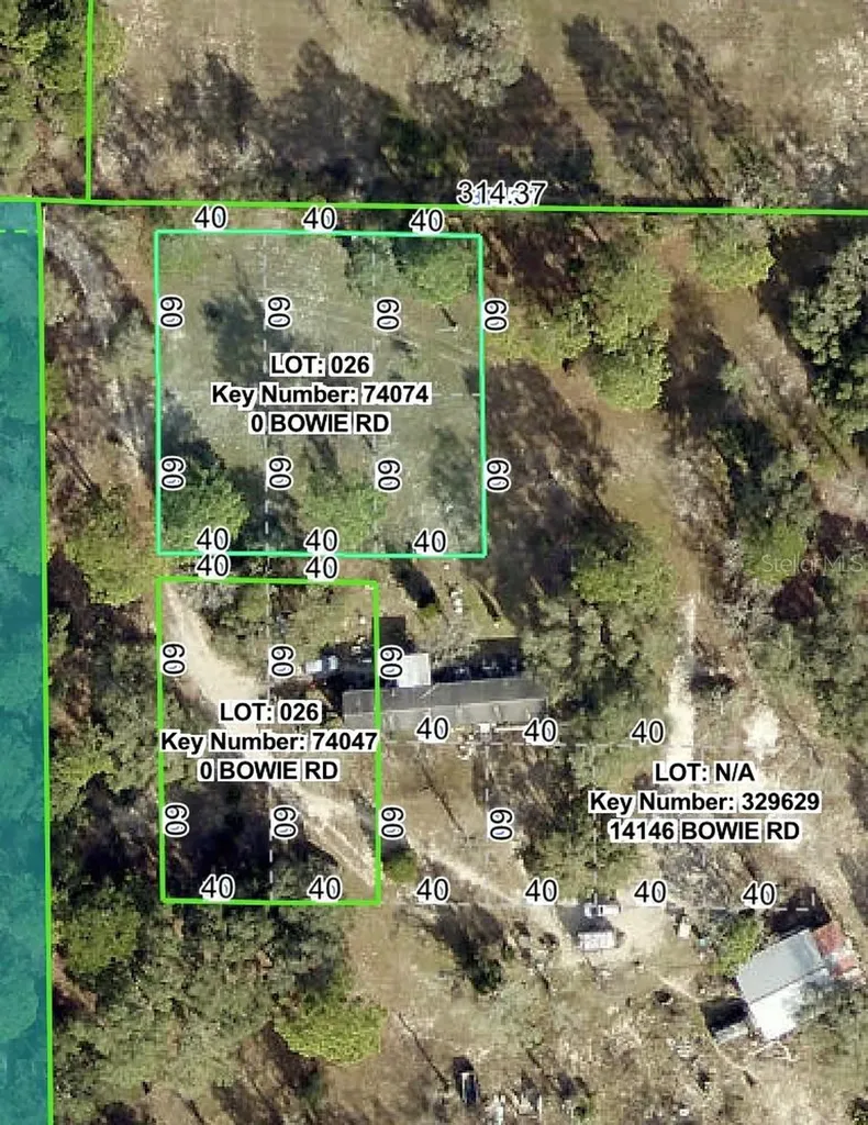 Bowie Road Brooksville FL 34614