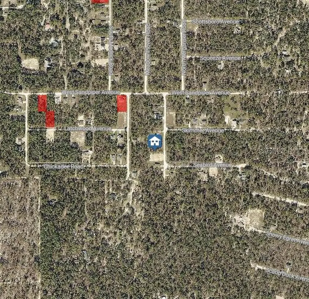 Lot 14 Magdalena Road Weeki Wachee FL 34614