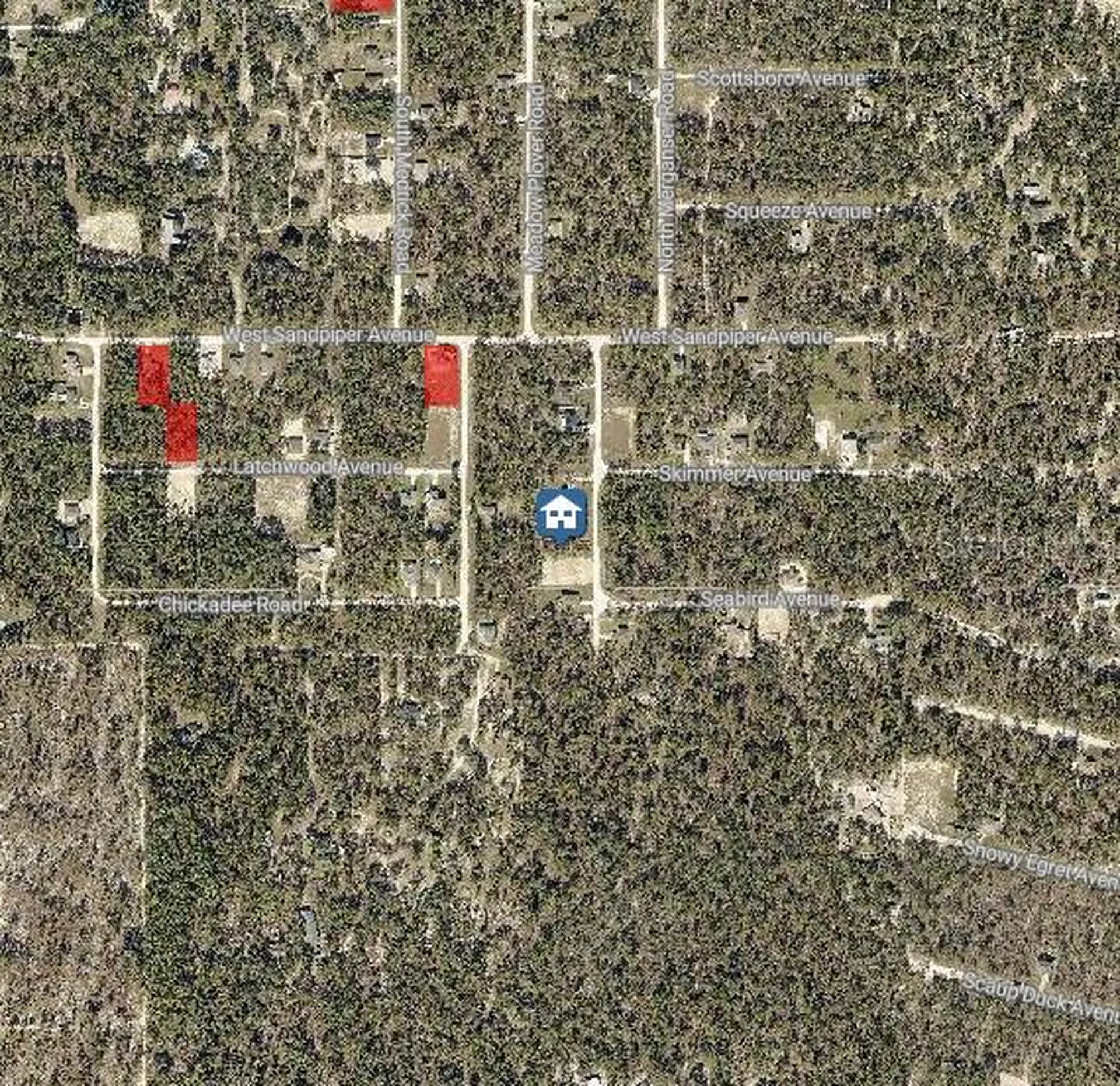 Lot 14 Magdalena Road Weeki Wachee FL 34614