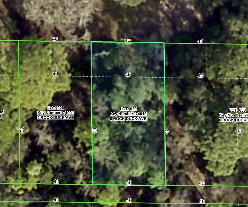 Rock Duck Avenue Brooksville FL 34614