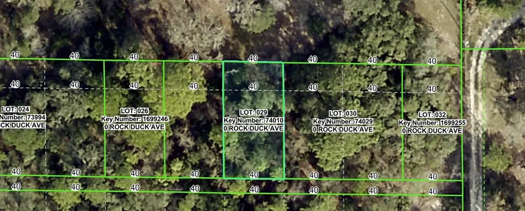 Rock Duck Avenue Brooksville FL 34614