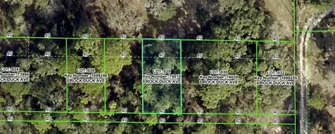 Rock Duck Avenue Brooksville FL 34614