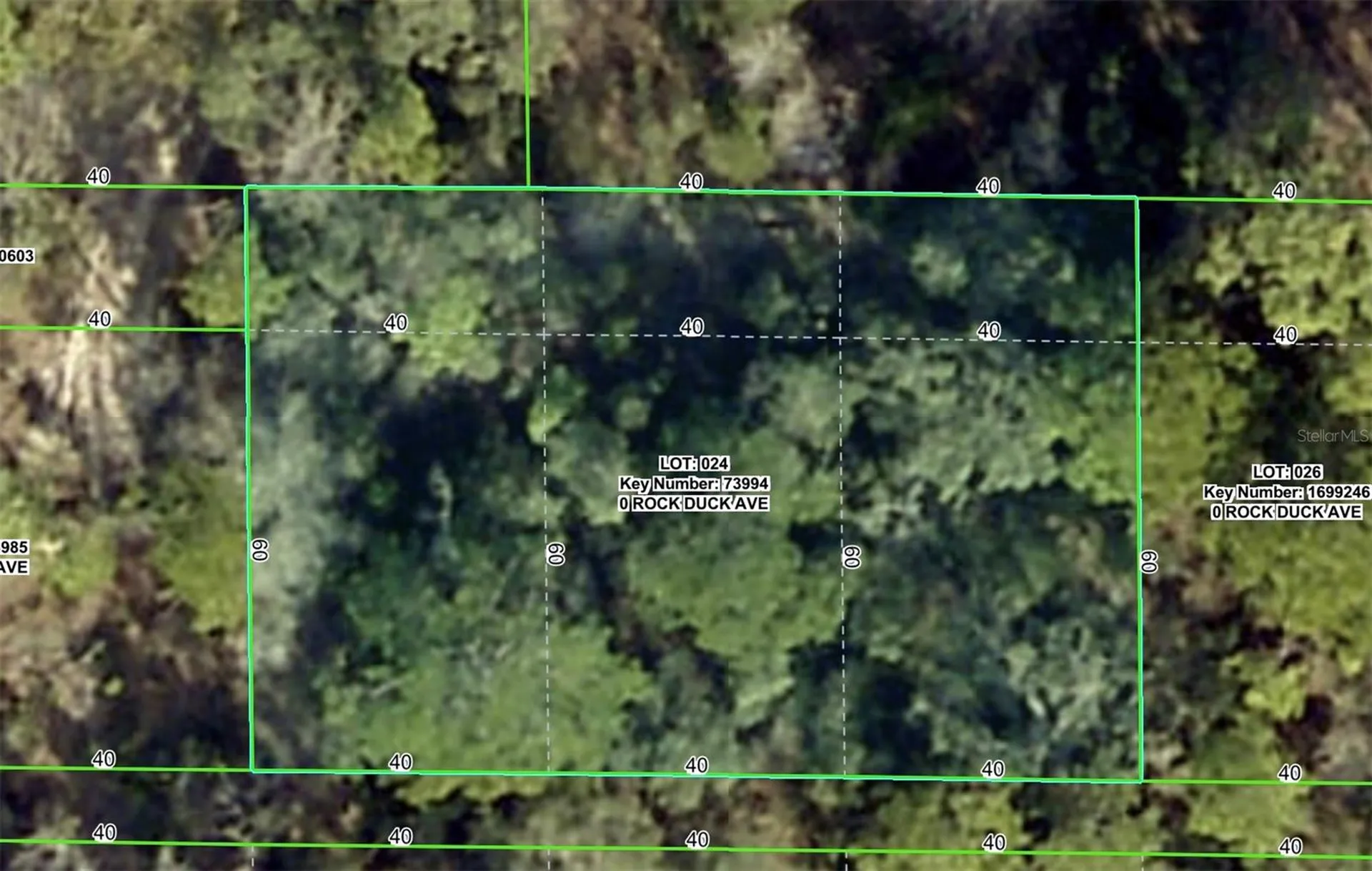 Rock Duck Avenue Brooksville FL 34614