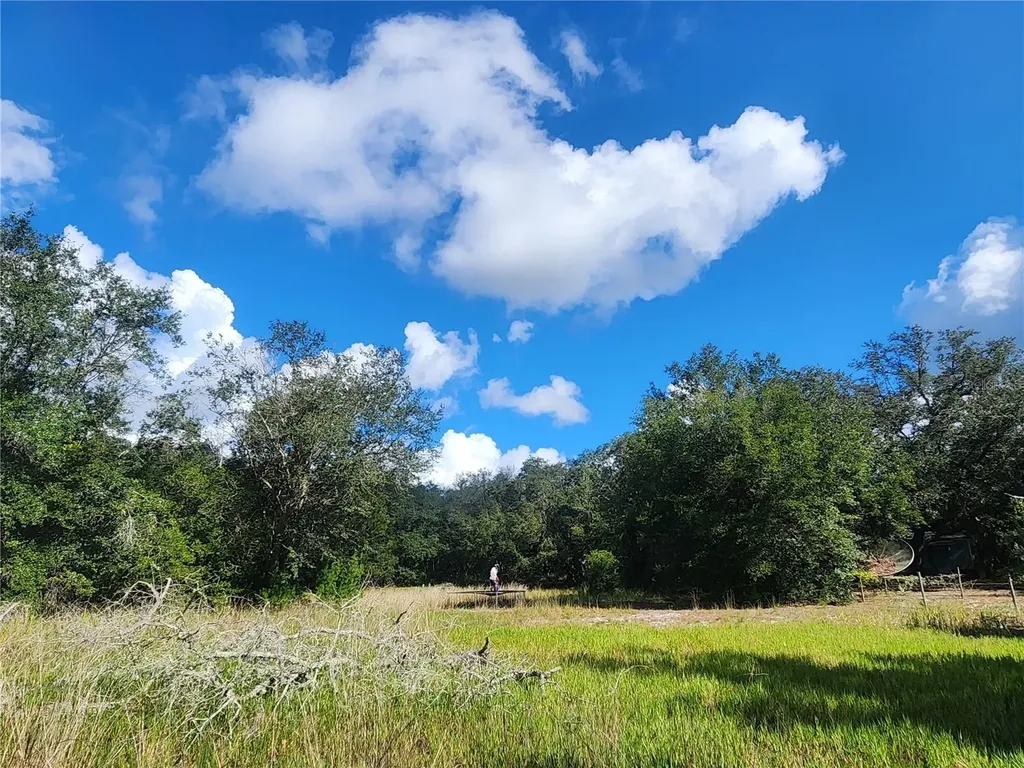 217 Lakeview Drive Melrose FL 32666