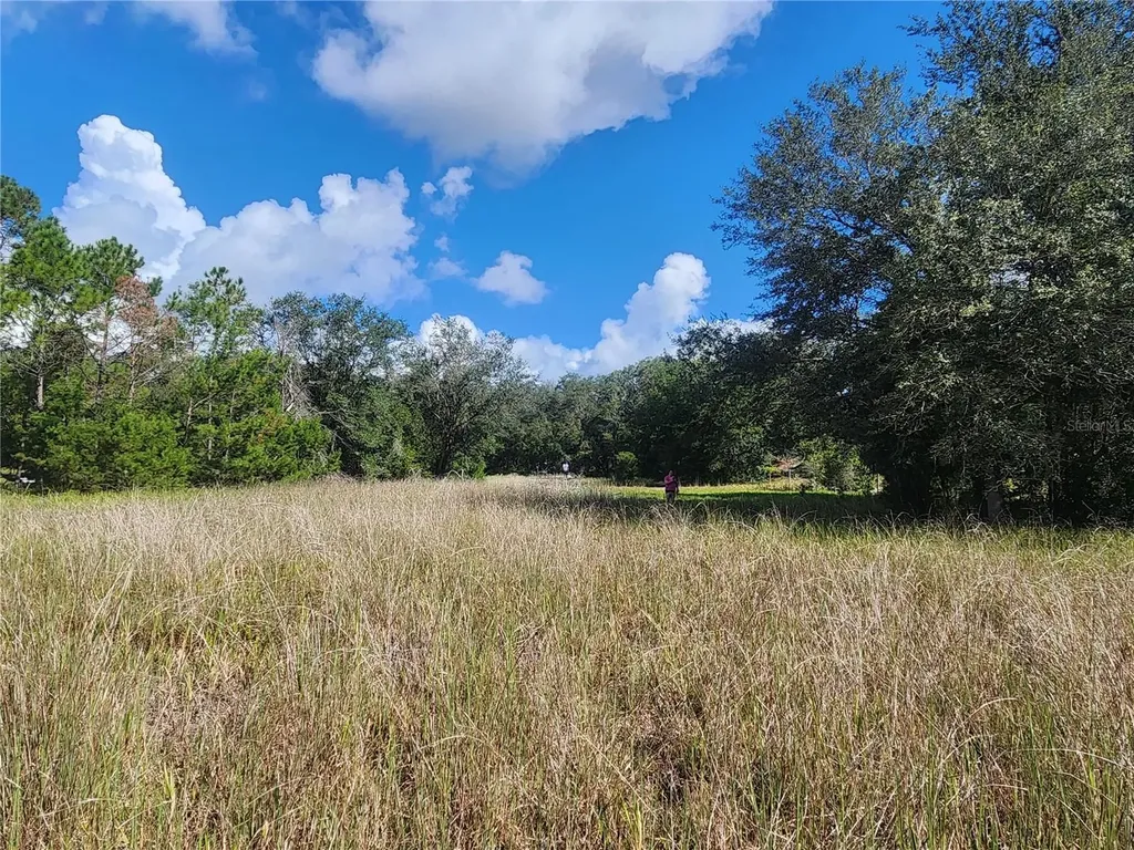 217 Lakeview Drive Melrose FL 32666