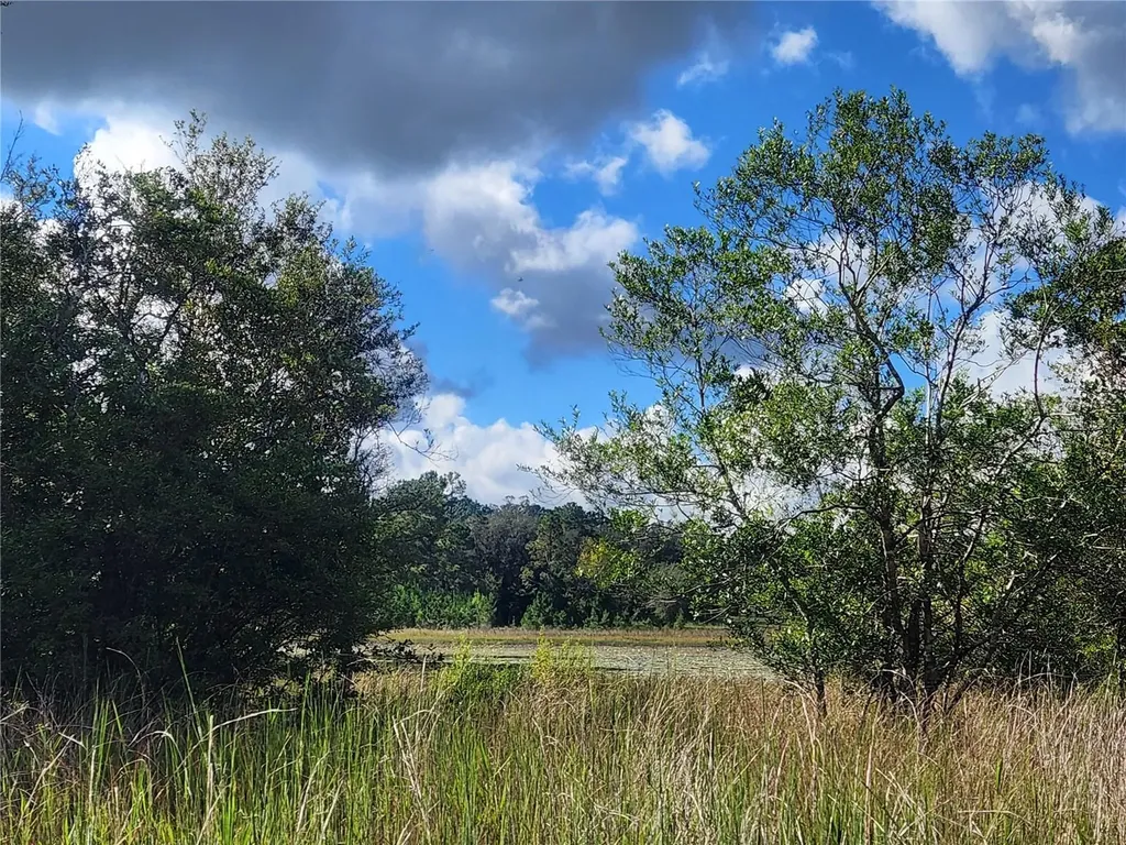 217 Lakeview Drive Melrose FL 32666