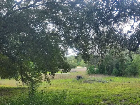 217 Lakeview Drive Melrose FL 32666