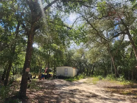 217 Lakeview Drive Melrose FL 32666