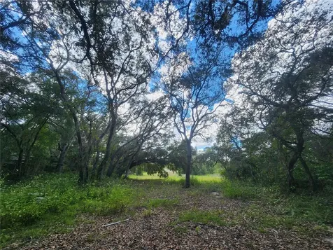 217 Lakeview Drive Melrose FL 32666