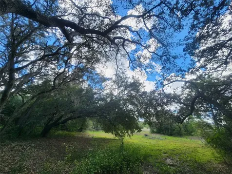 217 Lakeview Drive Melrose FL 32666