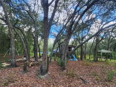 217 Lakeview Drive Melrose FL 32666