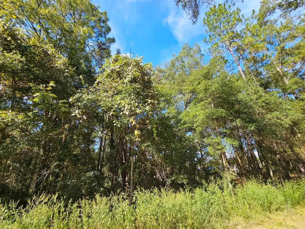 Tbd SW 21st Place Ocala FL 34481