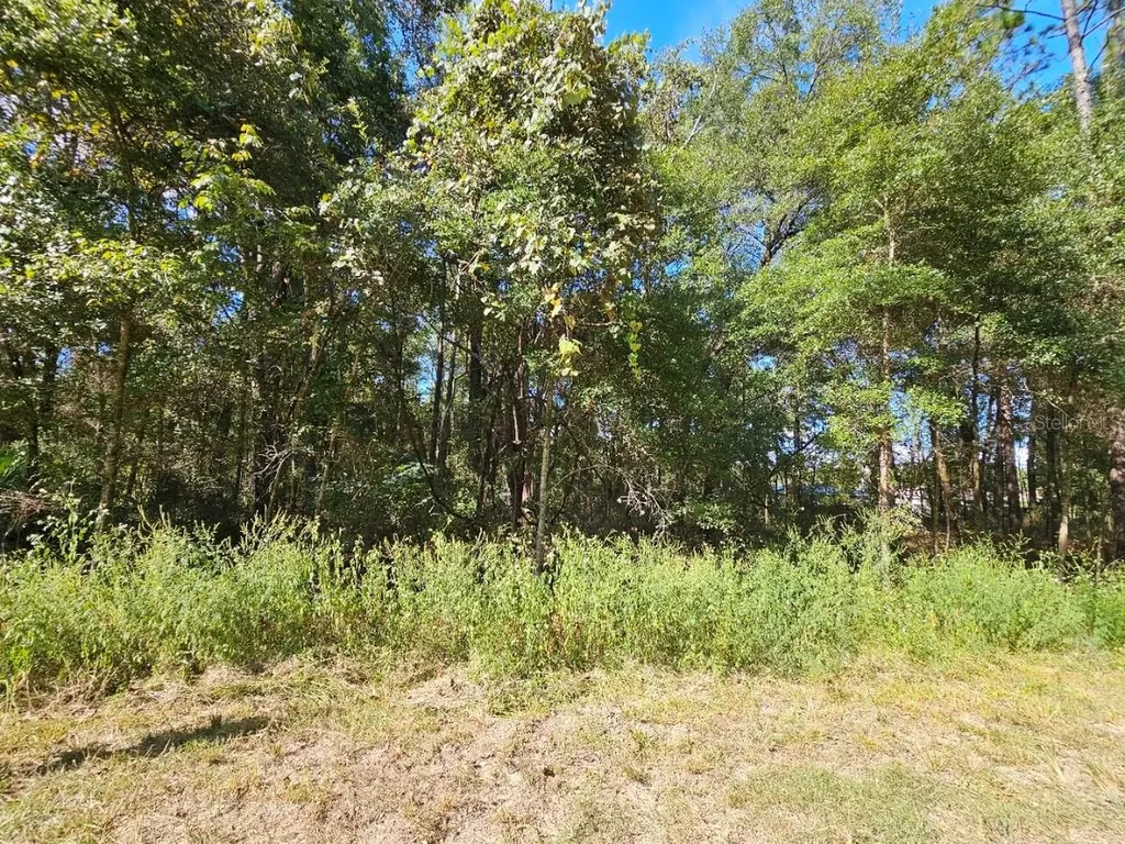 Tbd SW 21st Place Ocala FL 34481