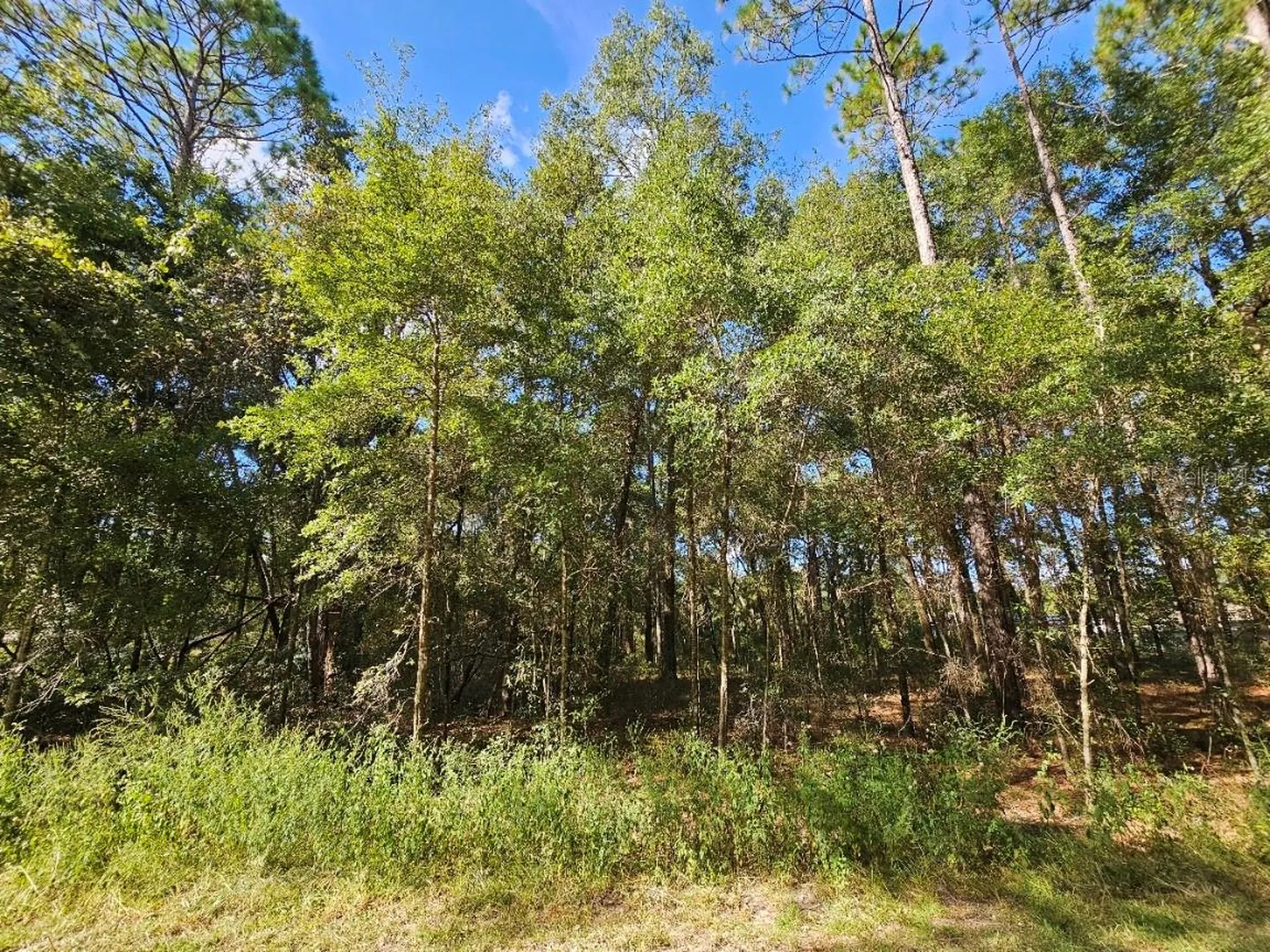 Tbd SW 21st Place Ocala FL 34481