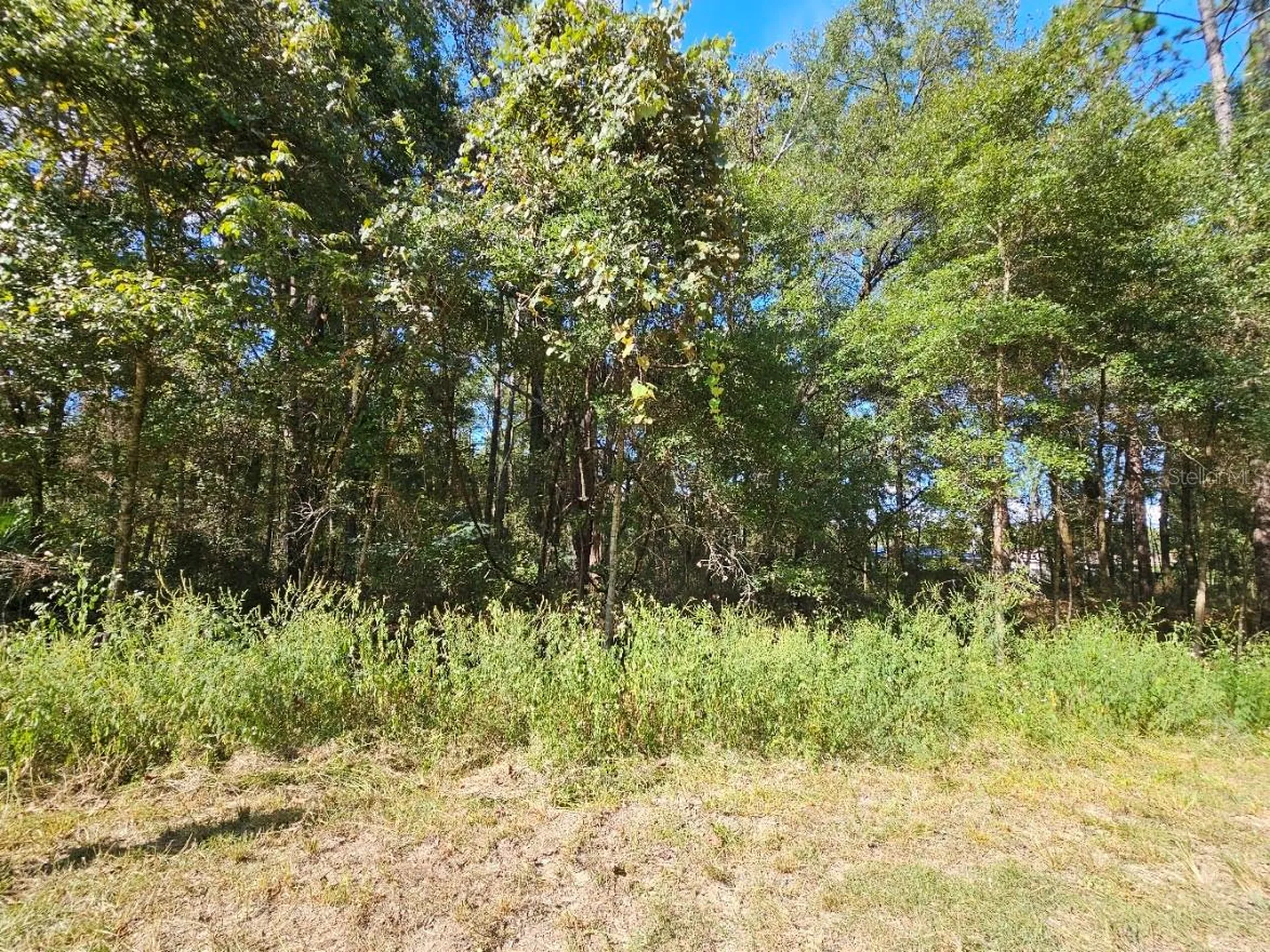 Tbd SW 21st Place Ocala FL 34481