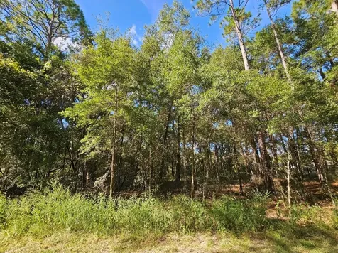Tbd SW 21st Place Ocala FL 34481