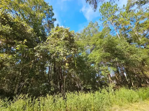Tbd SW 21st Place Ocala FL 34481