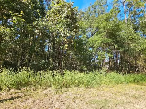 Tbd SW 21st Place Ocala FL 34481