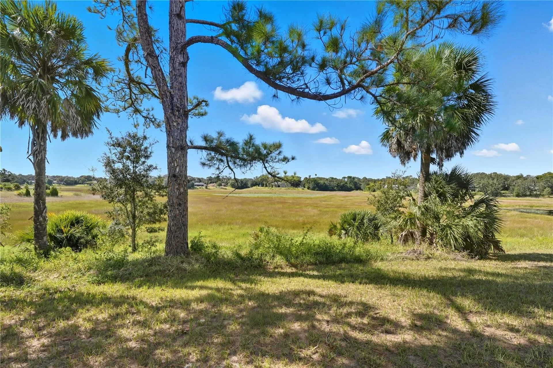 577 Waterfall Drive Spring Hill FL 34608