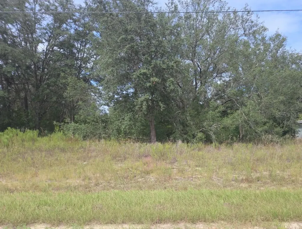 823 E Dellbrook Lane Dunnellon FL 34434