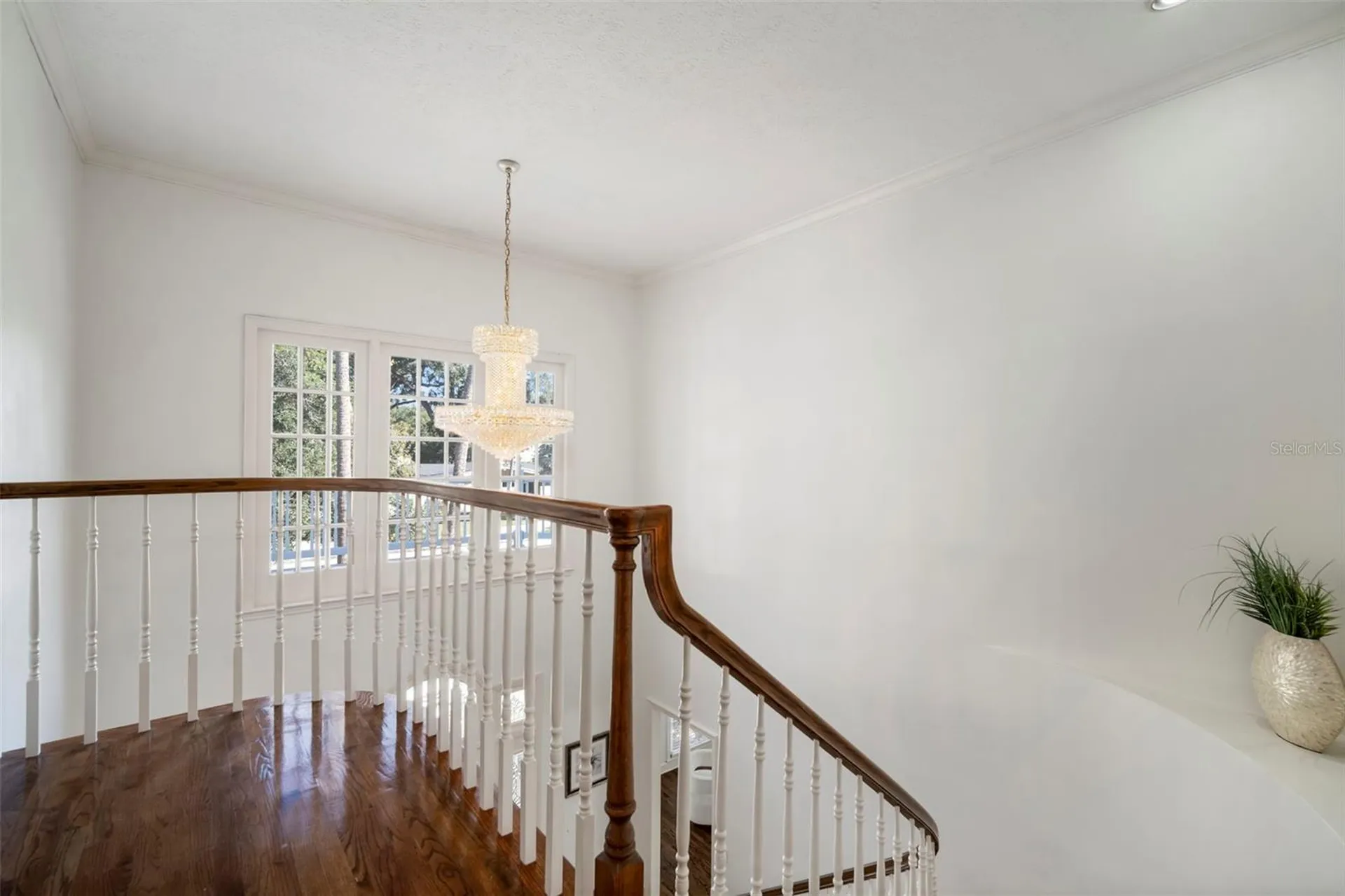 4318 W Azeele Street Tampa FL 33609
