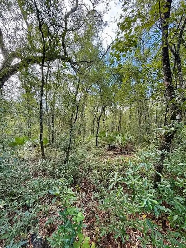 0 Gresham Road Webster FL 33597