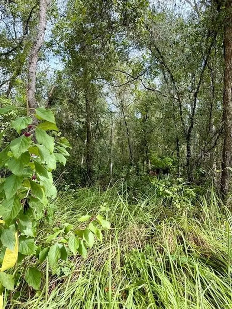 0 Gresham Road Webster FL 33597